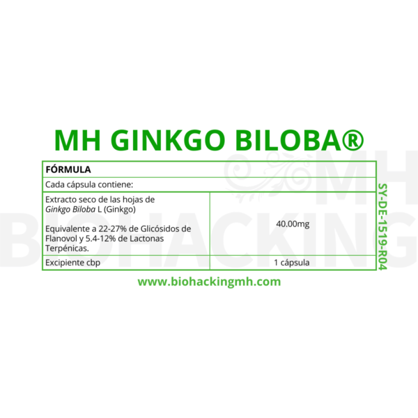 MH GINKGO BILOBA - Imagen 2